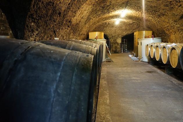 De wijnkelder van Domaine Le Raderie