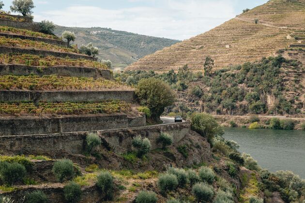 Roadtrippen door de Douro vallei
