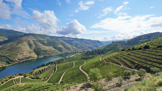 De Douro-vallei in Portugal\u00a9 dejangasparin - Fotolia