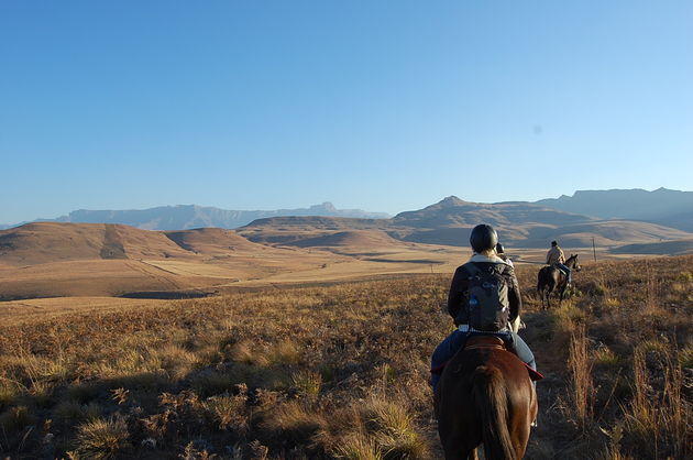 Paardrijden door Drakensbergen