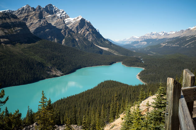 Hoe bizar is deze blauwe kleur van Peyto Lake?