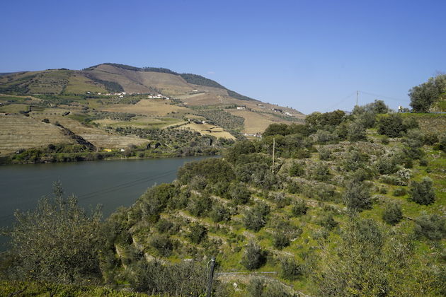 Uitkijken over de Douro rivier