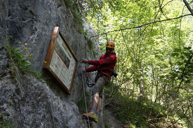 De fun van de Via Ferrata begint onderaan in het bos, de verrassing is een paar honderd meter hoger