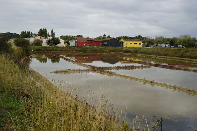 Zoutbekkens op \u00eele d`Oleron