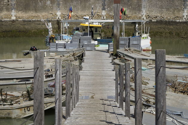 In de haven liggen de platbodems waar de oesters mee uit het water worden gevist