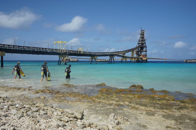 De `Salt Pier` is een van de mooiste duikplekjes van Bonaire.