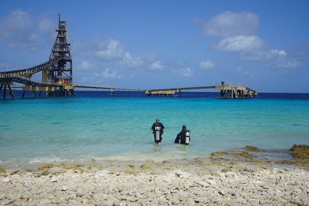 duiken-op-bonaire-3.jpeg