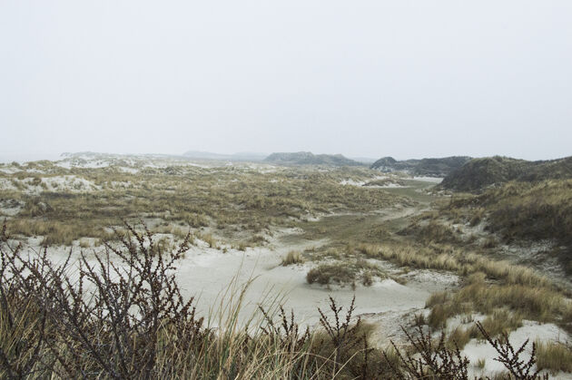 Wandelen door een prachtig duingebied