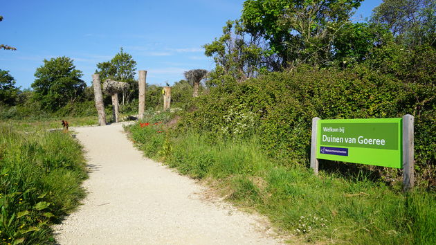 Aan de noordkant van Ouddorp vind je de duinen van Goeree-Overvlakkee