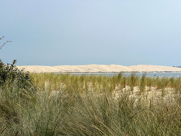 Vanuit de duinen van Cap Ferret kun je Dune du Pilat goed zien liggen