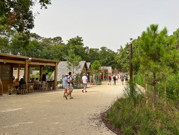 Via een mooi wandelpad loop je richting de duinen