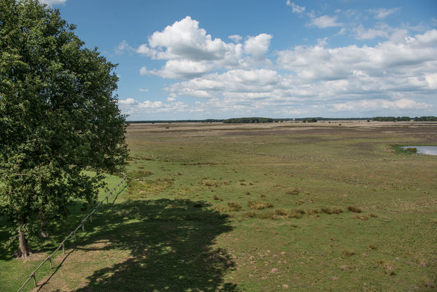 Uitkijken over Drenthe, of toch Zuid-Afrika?