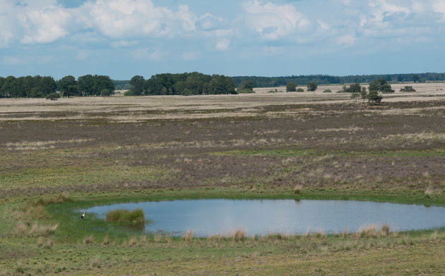 Heb jij inmiddels zin in een dagje Drenthe?