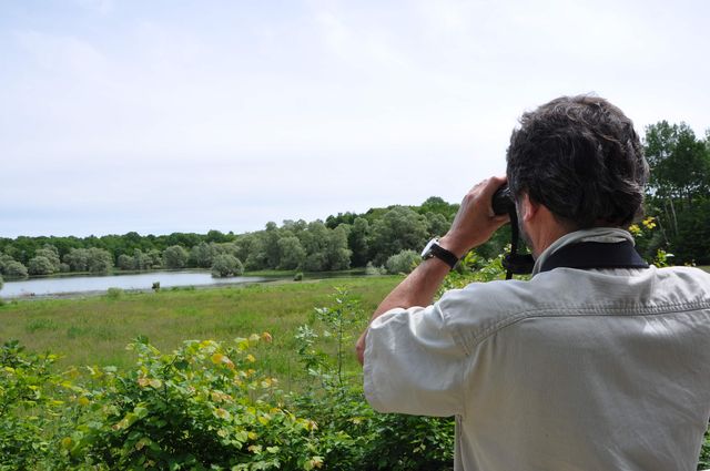 Vogels spotten in het wildpark