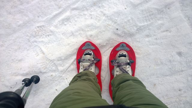 Wandelen met sneeuwschoenen: loodzwaar maar super leuk!