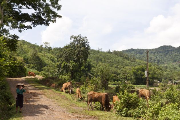 Eco-tour door Muong