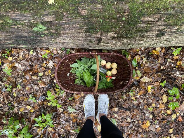 <em>Wij gingen het bos in om onze lunch bij elkaar te scharrelen. <\/em>