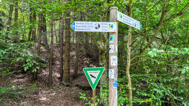 De Eifel, de ideale omgeving voor een roadtrip maar ook om te wandelen of fietsen