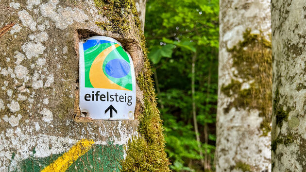 Onze roadtrip door de Eifel lijkt parallel te lopen met de fameuze Eifelsteig wandelroute