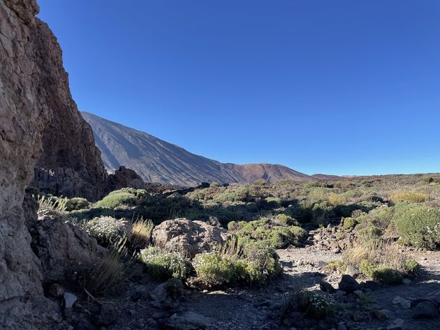 Hiken rondom El Teide? Doen! Vergeet je niet in te smeren want de zon is hier fel