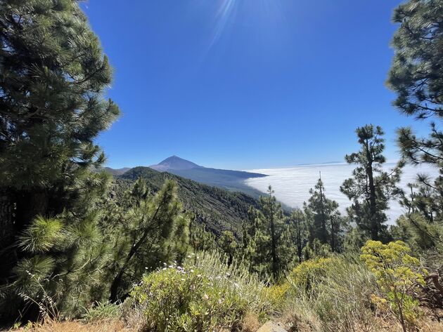 <em>Vulkaan El Teide: boven de wolken<\/em>
