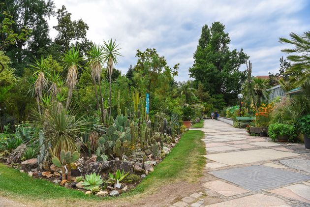 De historische botanische tuin van Erlangen