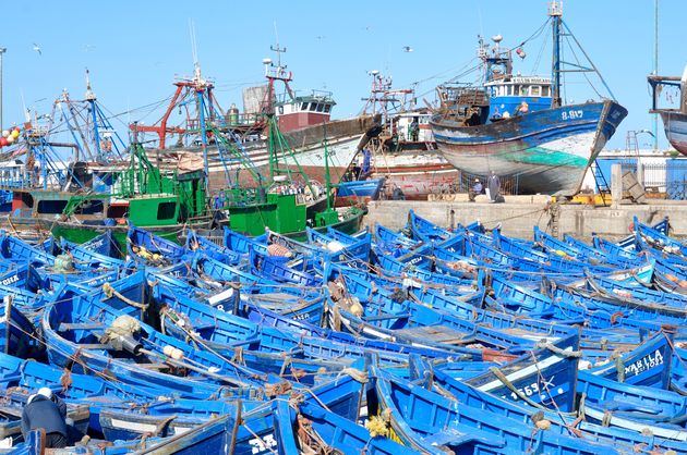 Vissersbootjes in de haven van Essaouira