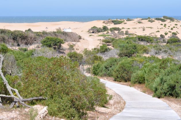 De zandduinen van Essaouira met daarachter de zee