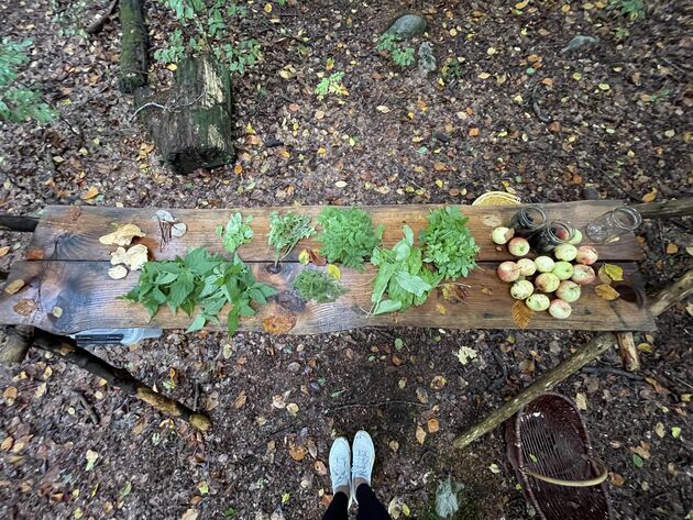 <em>Een tafel vol ingredi\u00ebnten voor een smaakvolle lunch!<\/em>