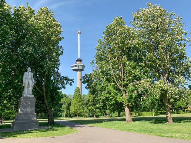 De hoogste toren van Nederland: de Euromast