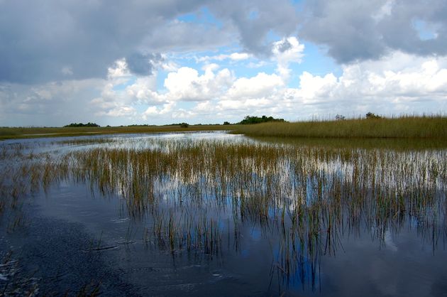Bezoek The Everglades National Park