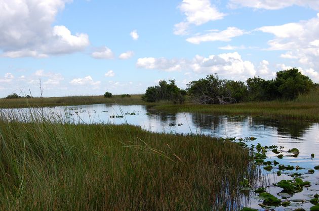 Een subtropisch klimaat zorgt voor prachtige natuur