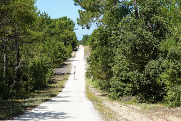 Fietsen op de witte paden van Ile d`Oleron