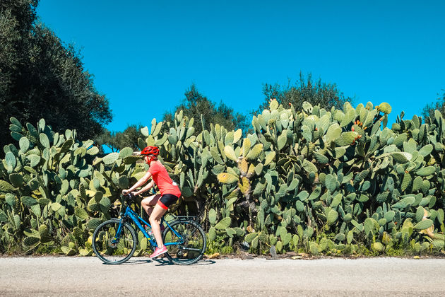 Ontdek de unieke charme van de omgeving van Kalamata per fiets \u00a9STELIOSS\/MBike