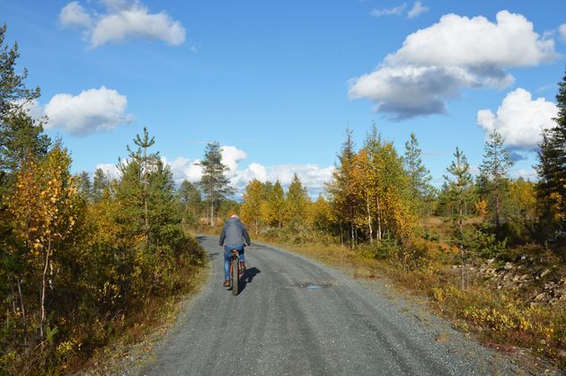 fietsen-lapland-herfst.jpeg