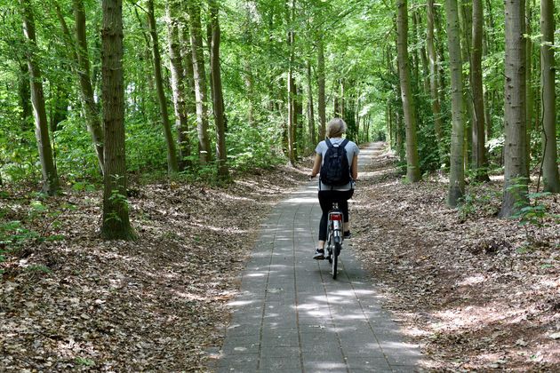 Lekker op `t fietske door de bossen