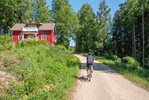 fietsen-unionsleden.jpeg