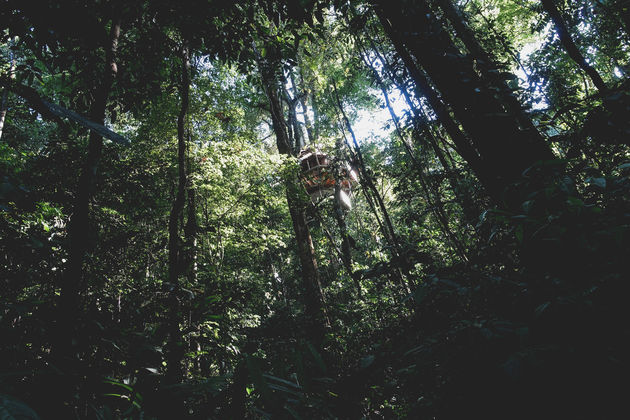 Je `hotelkamer` daar hoog in de bomen