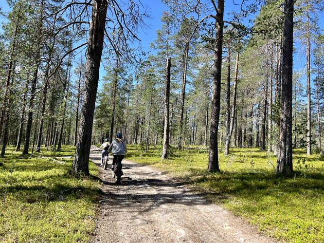De beste mountainbike-trails in Lapland vind je in Yll\u00e4s