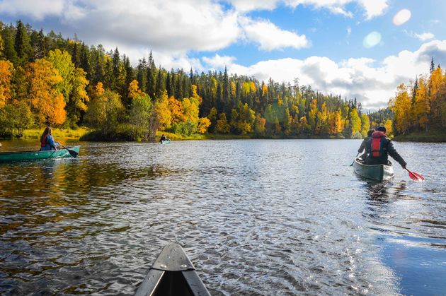 Herfst in Fins Lapland