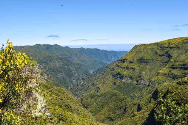 Floresta de Laurisilva is het natuurlijk werelderfgoed van Madeira