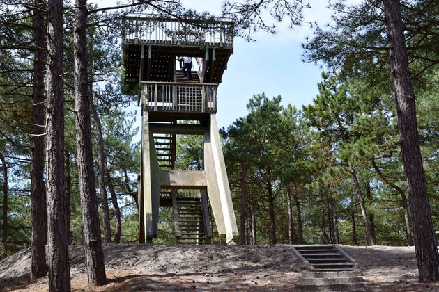 Uitkijktoren Fonteinsnol: klim zeker even naar boven!