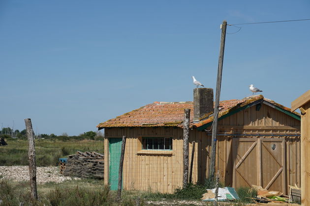 Fort Royer Boyardville: nog steeds worden er huisjes in de traditionele stijl gebouwd