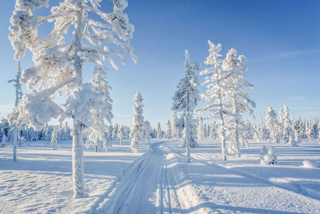 Lapland in de winter is zeer fotogeniek