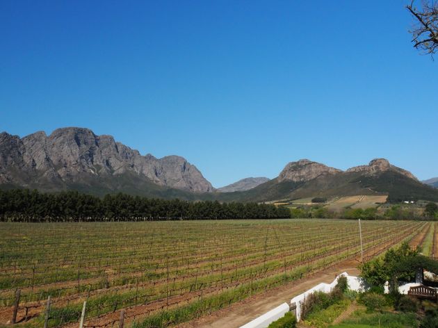 Franschhoek wordt volledige omgeven door wijngaarden en bergen