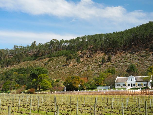 franschhoekricketybridgewineestate-2-1.jpeg