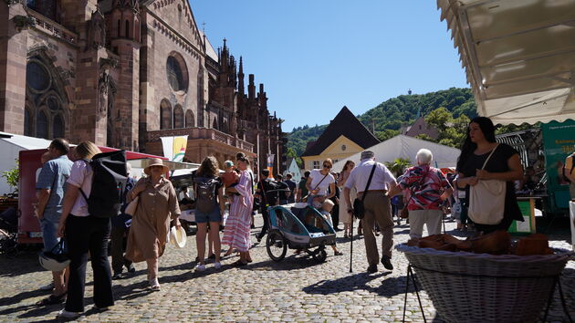 Gezelligheid is troef in Freiburg