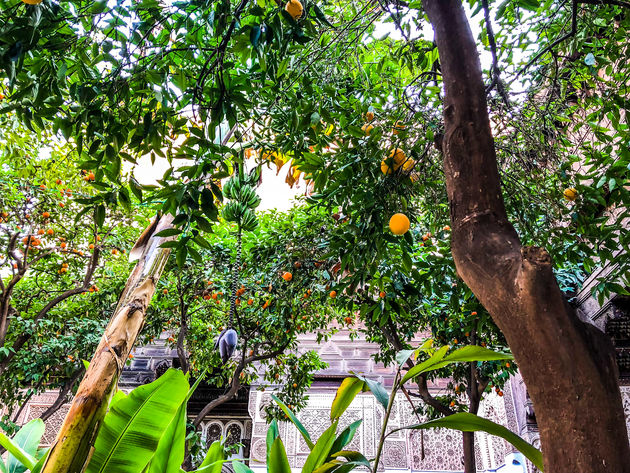 Sinaasappelbomen en nog meer groen maken het geheel alleen maar mooier!