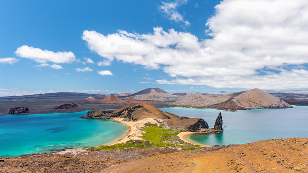 Unieke dieren en planten op de GalapagoseilandenFoto: fominayaphoto - Adobe Stock