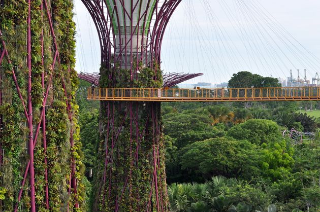 De Skywalk in Gardens by the Bay